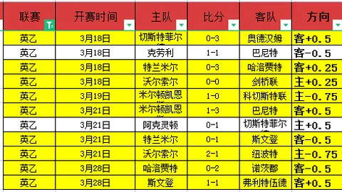 [德甲]波鸿反败为胜，贝罗一击定乾坤